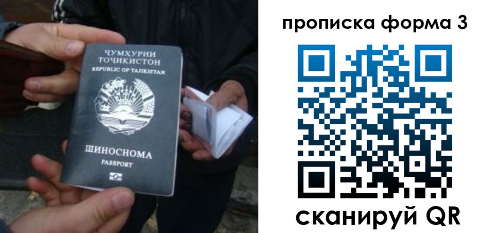 прописка 2025 в Новокубанске